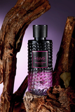 Rome Melancholia 100ml EDP